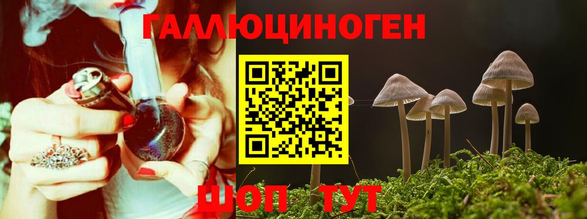 Кировск  магазин продажи   Вход с VPN  Псилоцибиновые грибы ЛСД 